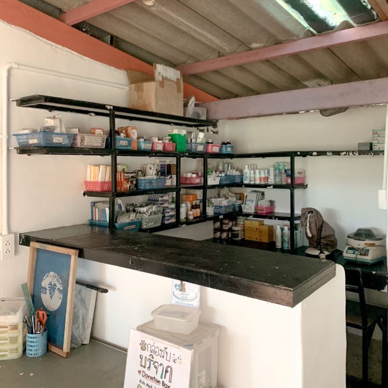 Rescued dogs at Koh Mak Animal Clinic, a Thai island rescue